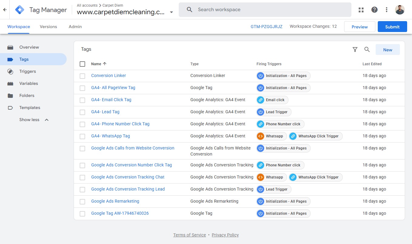 Carpet diem Google Tag Manager Conversion Tracking Setup